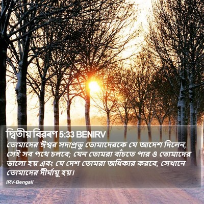 দ্বিতীয় বিৱৰণ 5:33 BENIRV Bible Verse Image