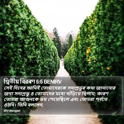 দ্বিতীয় বিৱৰণ 5:5 BENIRV Bible Verse Image