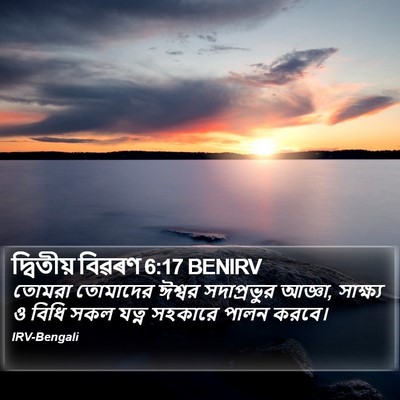 দ্বিতীয় বিৱৰণ 6:17 BENIRV Bible Verse Image