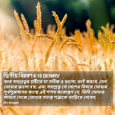 দ্বিতীয় বিৱৰণ 6:18 BENIRV Bible Verse Image