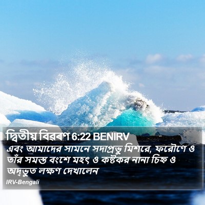 দ্বিতীয় বিৱৰণ 6:22 BENIRV Bible Verse Image