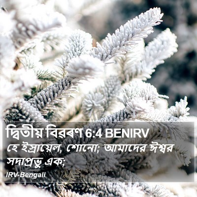 দ্বিতীয় বিৱৰণ 6:4 BENIRV Bible Verse Image