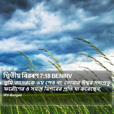 দ্বিতীয় বিৱৰণ 7:18 BENIRV Bible Verse Image