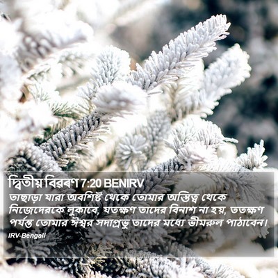 দ্বিতীয় বিৱৰণ 7:20 BENIRV Bible Verse Image