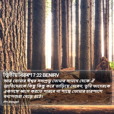 দ্বিতীয় বিৱৰণ 7:22 BENIRV Bible Verse Image