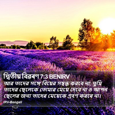দ্বিতীয় বিৱৰণ 7:3 BENIRV Bible Verse Image