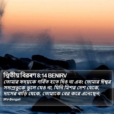 দ্বিতীয় বিৱৰণ 8:14 BENIRV Bible Verse Image