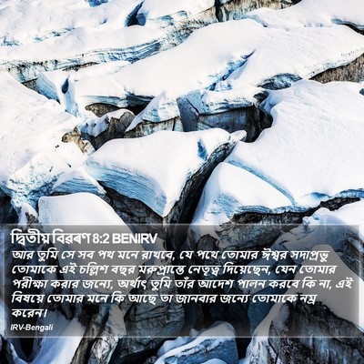 দ্বিতীয় বিৱৰণ 8:2 BENIRV Bible Verse Image