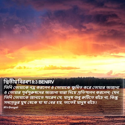 দ্বিতীয় বিৱৰণ 8:3 BENIRV Bible Verse Image