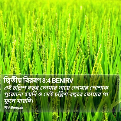 দ্বিতীয় বিৱৰণ 8:4 BENIRV Bible Verse Image