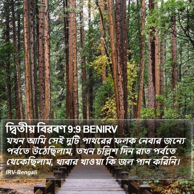 দ্বিতীয় বিৱৰণ 9:9 BENIRV Bible Verse Image