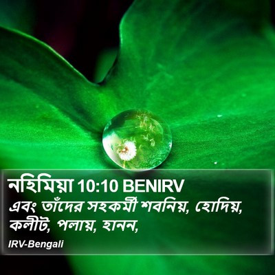 নহিমিয়া 10:10 BENIRV Bible Verse Image