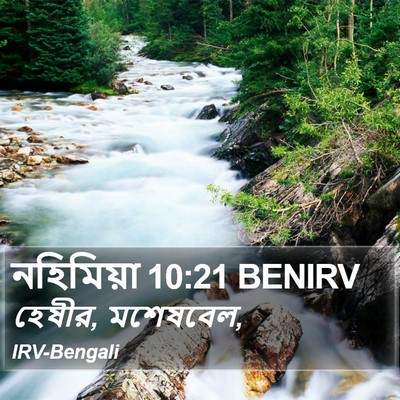 নহিমিয়া 10:21 BENIRV Bible Verse Image