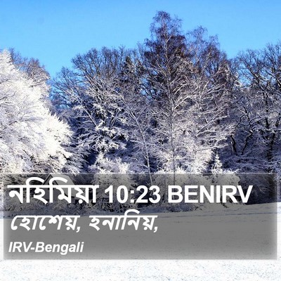নহিমিয়া 10:23 BENIRV Bible Verse Image