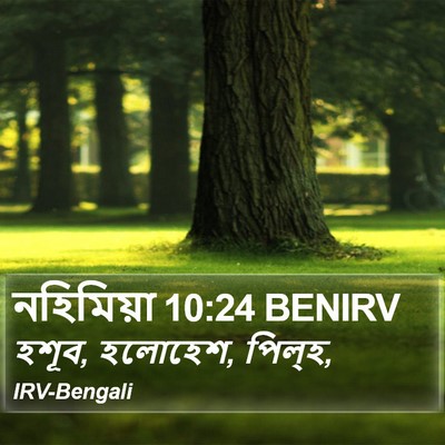 নহিমিয়া 10:24 BENIRV Bible Verse Image
