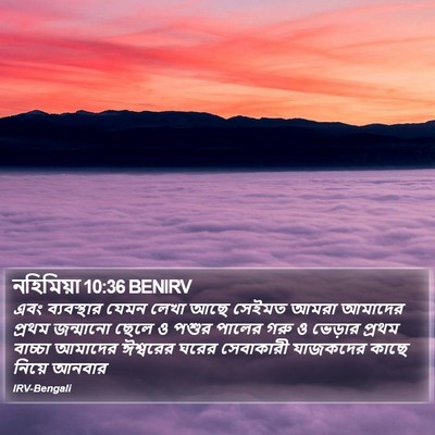 নহিমিয়া 10:36 BENIRV Bible Verse Image
