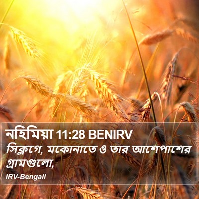 নহিমিয়া 11:28 BENIRV Bible Verse Image