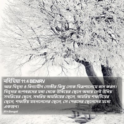 নহিমিয়া 11:4 BENIRV Bible Verse Image