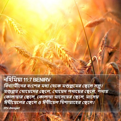 নহিমিয়া 11:7 BENIRV Bible Verse Image