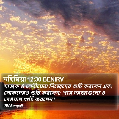 নহিমিয়া 12:30 BENIRV Bible Verse Image