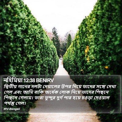 নহিমিয়া 12:38 BENIRV Bible Verse Image