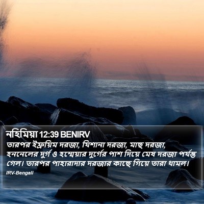 নহিমিয়া 12:39 BENIRV Bible Verse Image