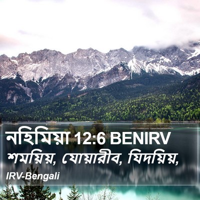 নহিমিয়া 12:6 BENIRV Bible Verse Image