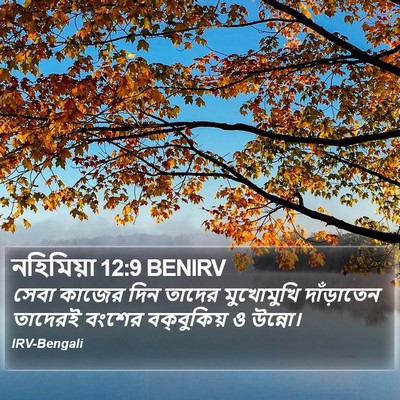 নহিমিয়া 12:9 BENIRV Bible Verse Image