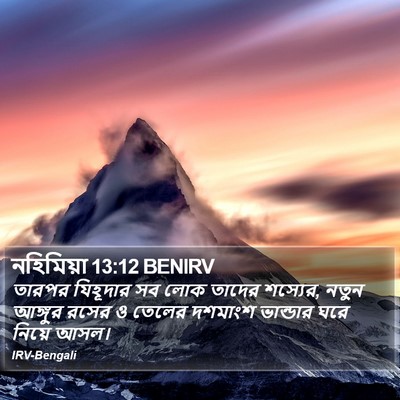 নহিমিয়া 13:12 BENIRV Bible Verse Image