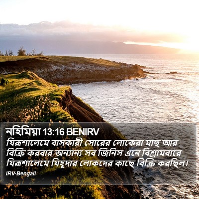 নহিমিয়া 13:16 BENIRV Bible Verse Image