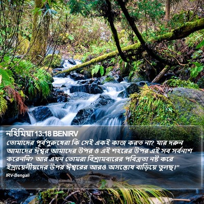 নহিমিয়া 13:18 BENIRV Bible Verse Image