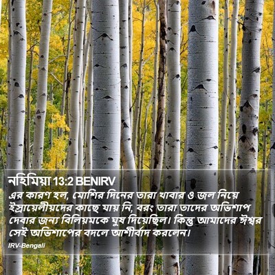নহিমিয়া 13:2 BENIRV Bible Verse Image