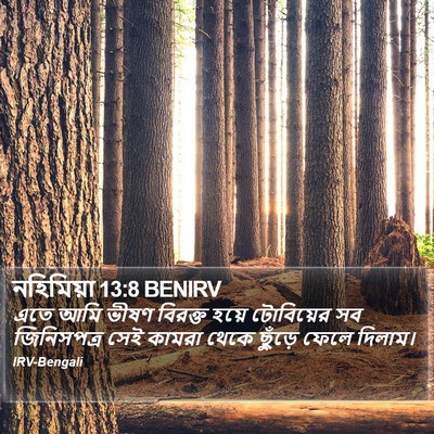 নহিমিয়া 13:8 BENIRV Bible Verse Image