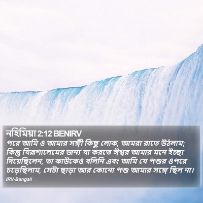 নহিমিয়া 2:12 BENIRV Bible Verse Image