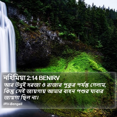 নহিমিয়া 2:14 BENIRV Bible Verse Image