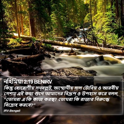 নহিমিয়া 2:19 BENIRV Bible Verse Image