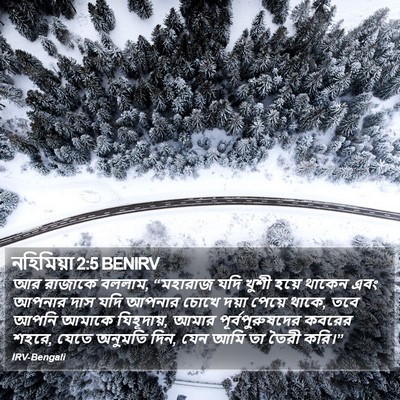 নহিমিয়া 2:5 BENIRV Bible Verse Image