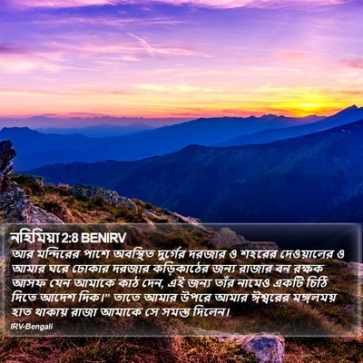 নহিমিয়া 2:8 BENIRV Bible Verse Image