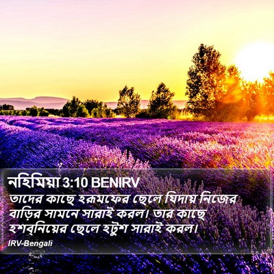 নহিমিয়া 3:10 BENIRV Bible Verse Image