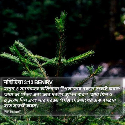 নহিমিয়া 3:13 BENIRV Bible Verse Image