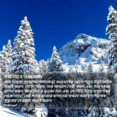 নহিমিয়া 3:15 BENIRV Bible Verse Image