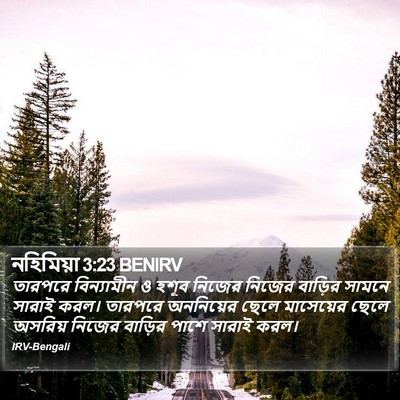 নহিমিয়া 3:23 BENIRV Bible Verse Image