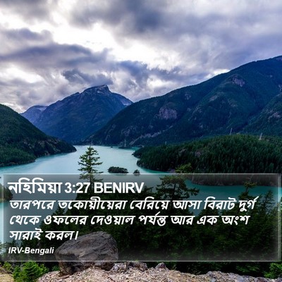 নহিমিয়া 3:27 BENIRV Bible Verse Image