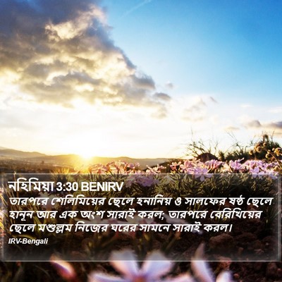 নহিমিয়া 3:30 BENIRV Bible Verse Image