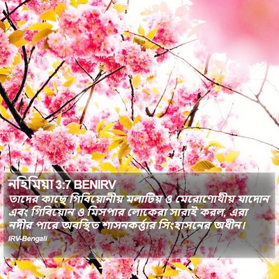 নহিমিয়া 3:7 BENIRV Bible Verse Image