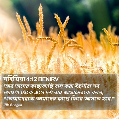 নহিমিয়া 4:12 BENIRV Bible Verse Image