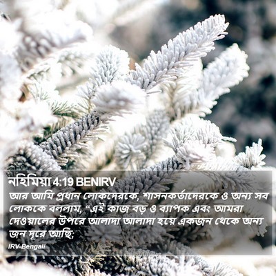 নহিমিয়া 4:19 BENIRV Bible Verse Image