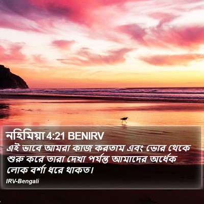 নহিমিয়া 4:21 BENIRV Bible Verse Image