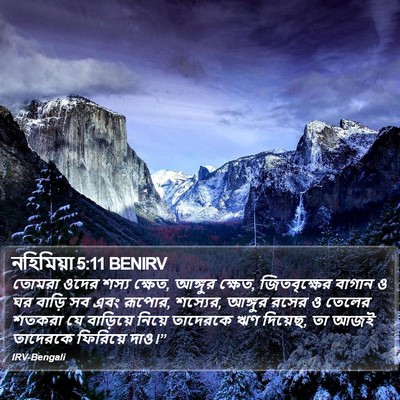 নহিমিয়া 5:11 BENIRV Bible Verse Image