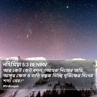নহিমিয়া 5:3 BENIRV Bible Verse Image